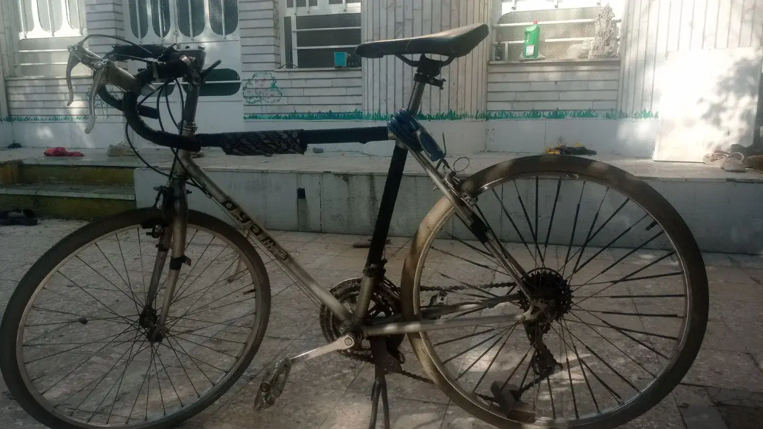 دوچرخه کورسی و کوهستانی|دوچرخه، اسکیت، اسکوتر|ایذه, |دیوار