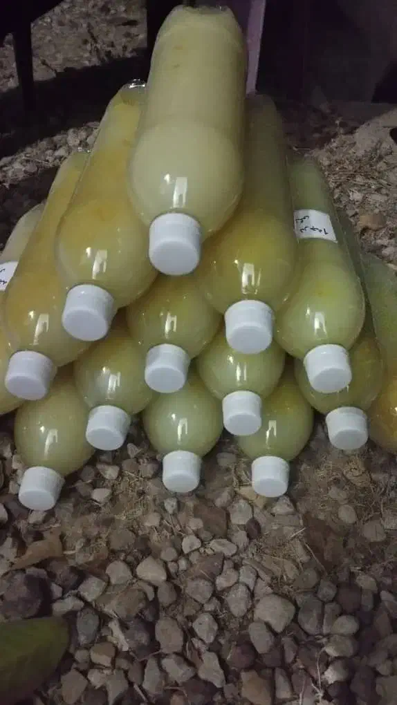 آبلیمو لِرد دار (پالپ دار)خانگی بدون تلخی|خوردنی و آشامیدنی|شیراز, معالی‌آباد|دیوار