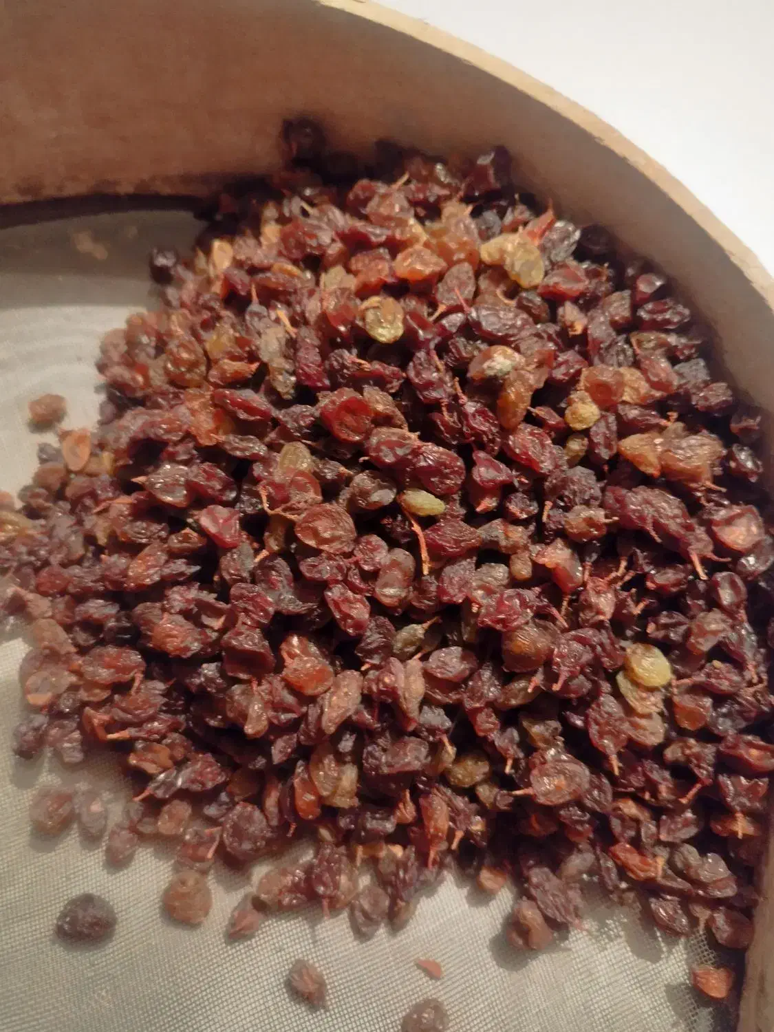 کشمش آفتابی اعلا|خوردنی و آشامیدنی|فرخشهر, |دیوار