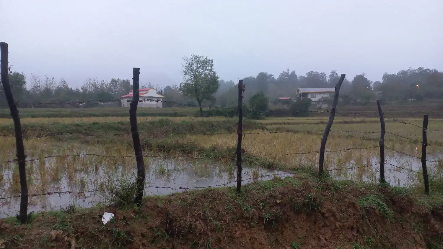 فروش ۳۰۰ متر با پروانه ساخت ۱۰۰م روستای جنبه سرا|فروش زمین و ملک کلنگی|پره‌سر, |دیوار