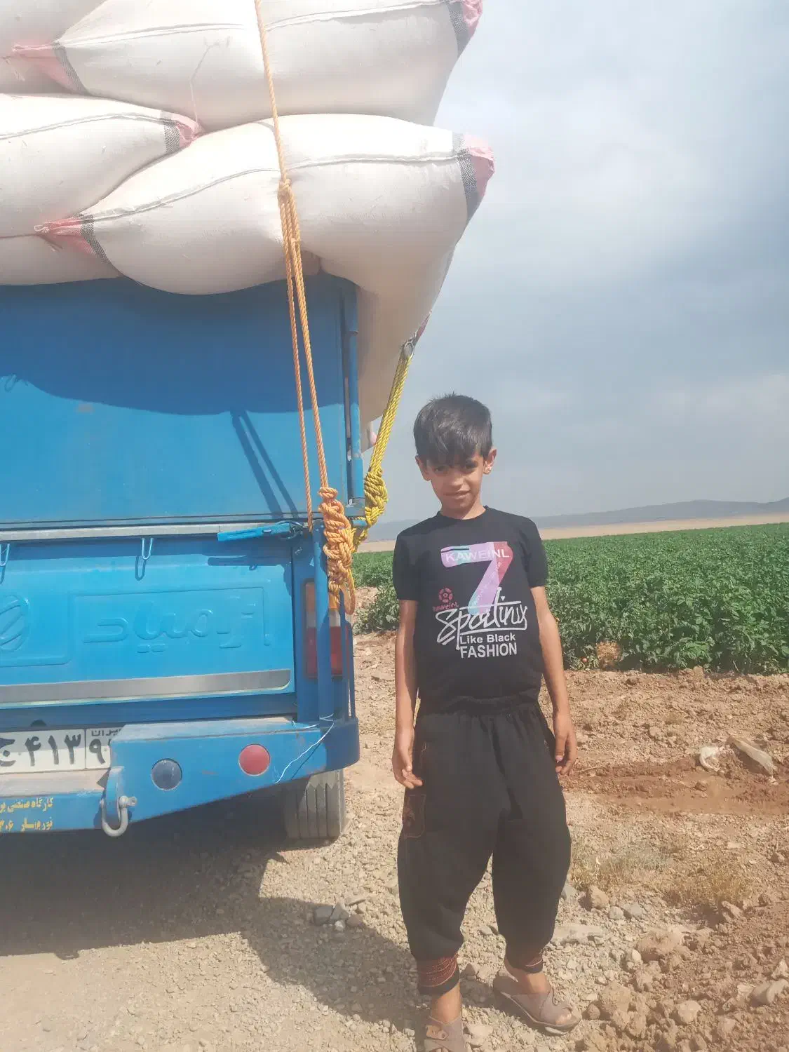 کاه گندم|عمدهفروشی|عباسآباد, |دیوار