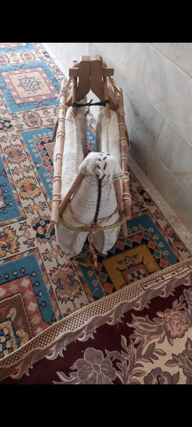 جهاز شتر|عمده‌فروشی|اشکذر, |دیوار