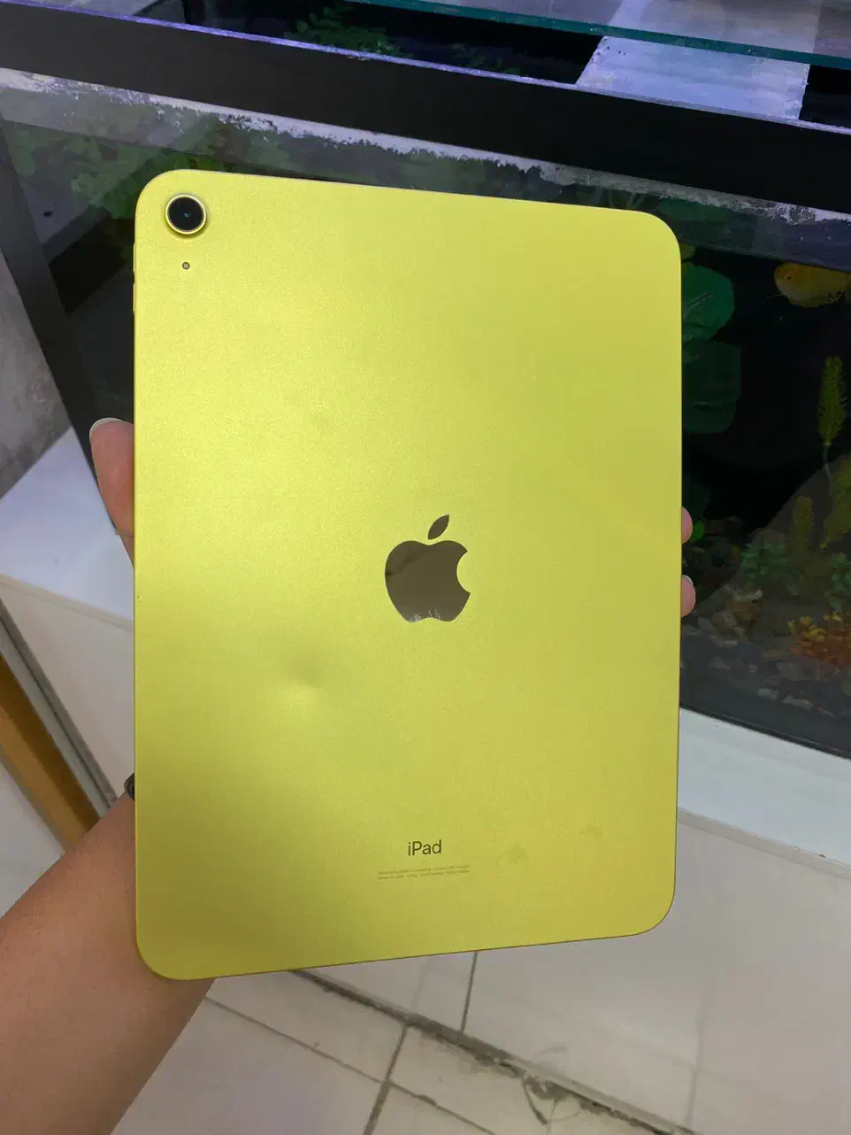 آیپد اپل نسل 10 طلایی 64GB|تبلت|نیشابور, امام خمینی|دیوار