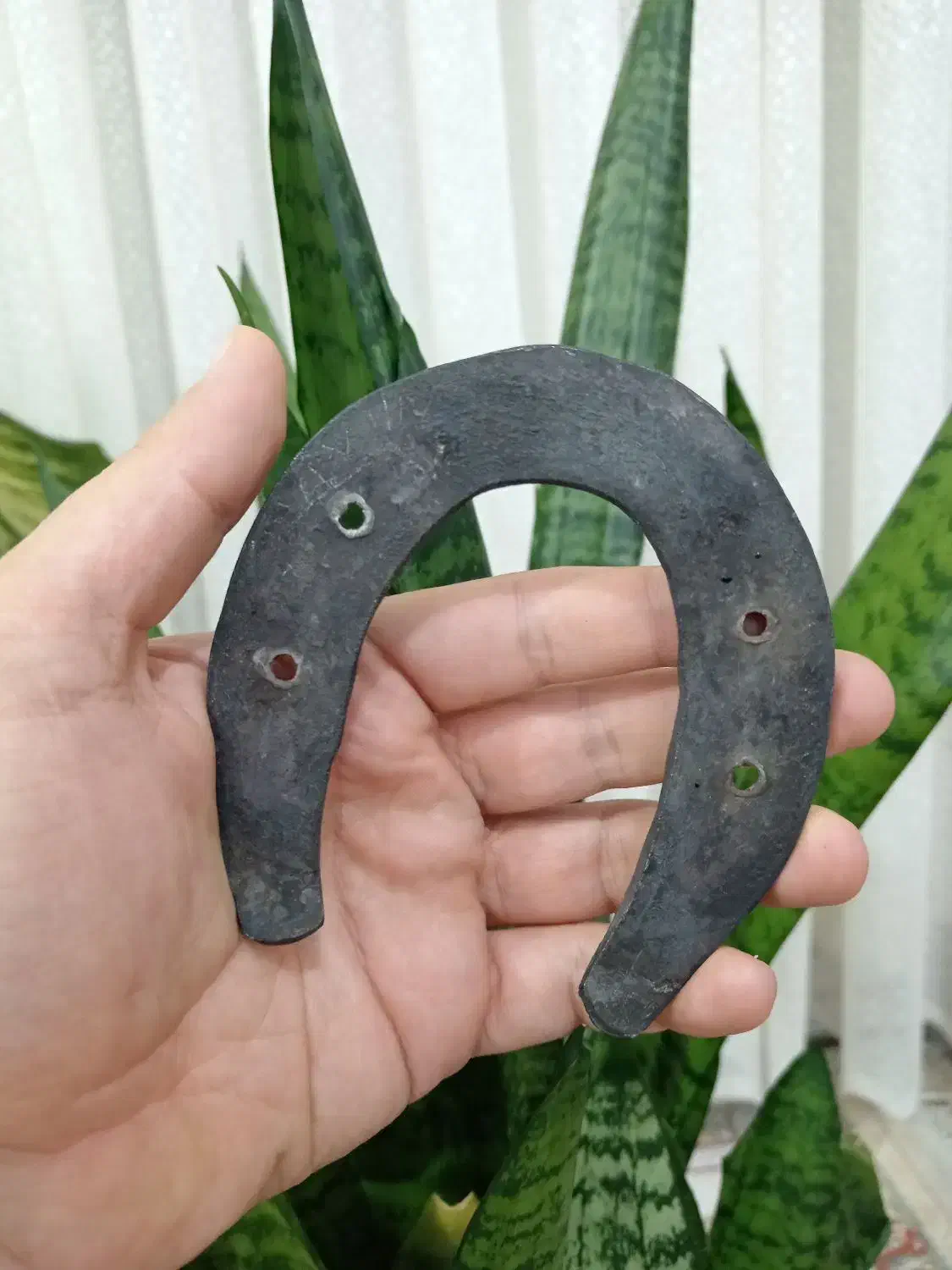 نعل اسب|اسب و تجهیزات اسب‌سواری|اسلام‌‌آباد غرب, |دیوار