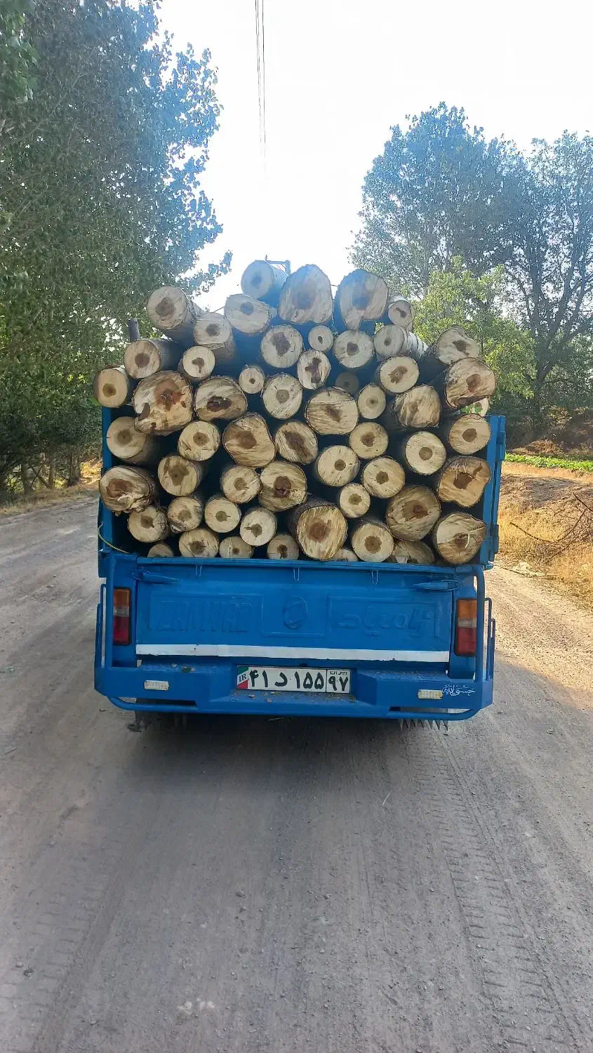 خرید انواع چوب .بالاترین قیمت نقد|خدمات باغبانی و درختکاری|خرمدره, |دیوار