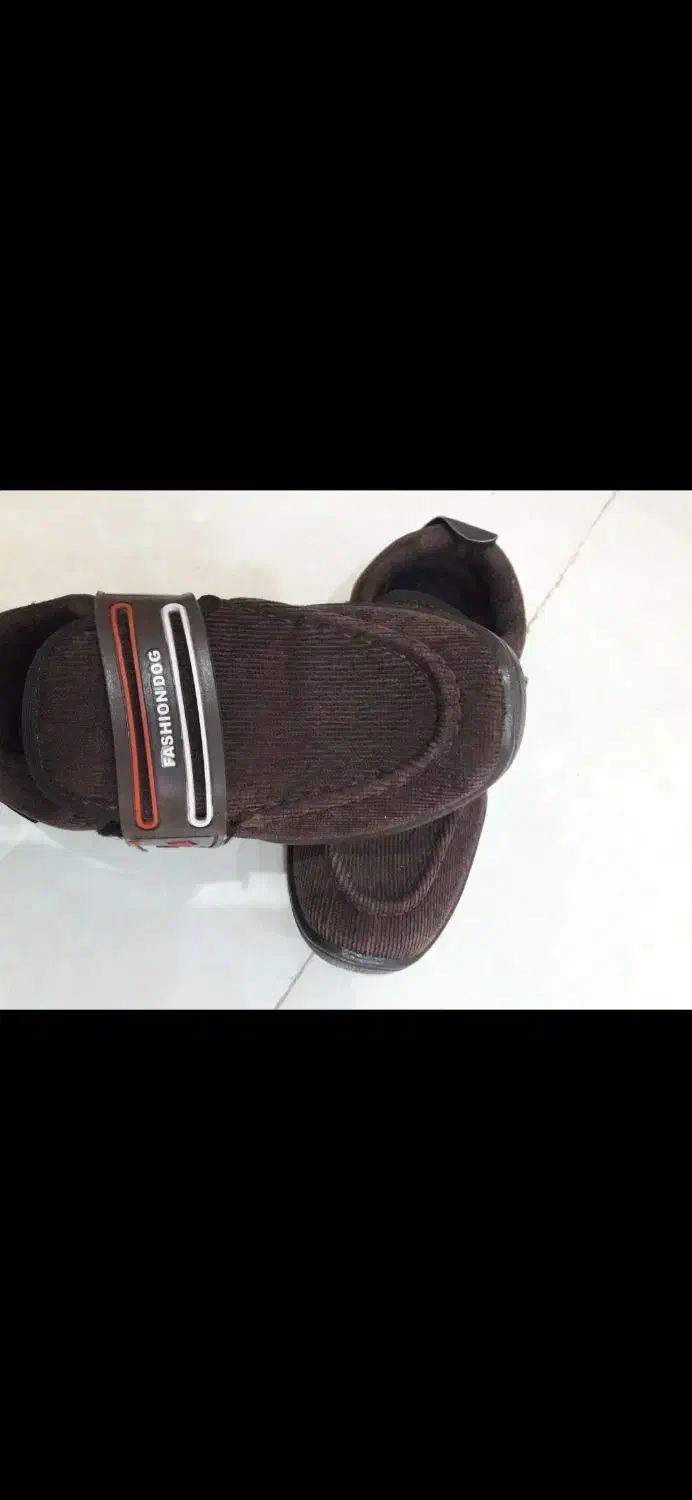 کفش بچگانه|کیف، کفش، کمربند|قم, سراجه (۱۵ خرداد)|دیوار