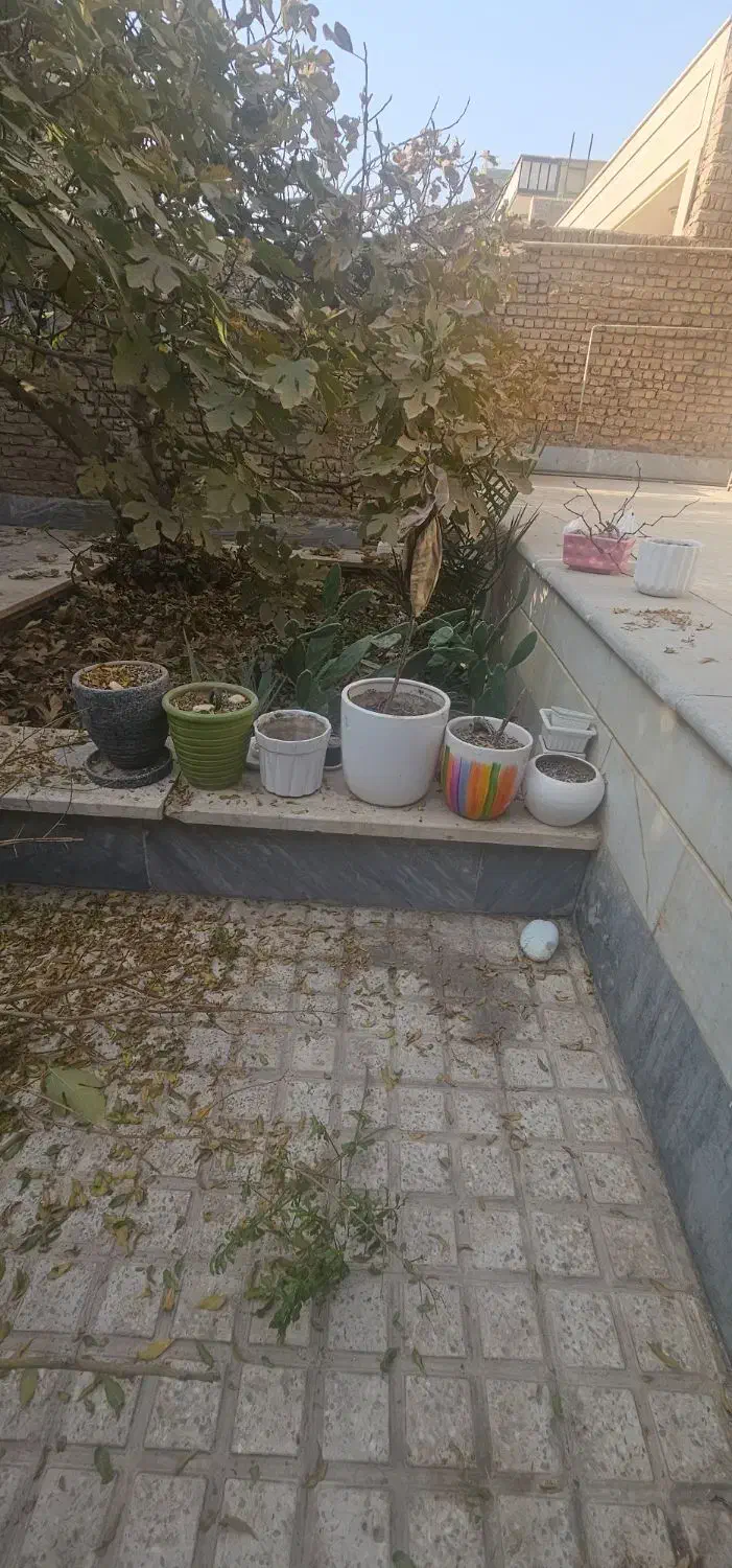 گلدون خالی|گل و گیاه طبیعی|گرمسار, |دیوار