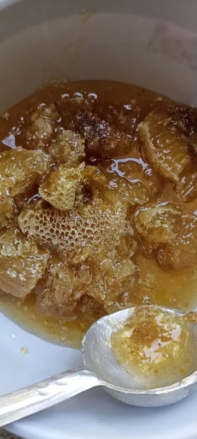 عسل کوهی وحشی|خوردنی و آشامیدنی|تهران, بوستان ولایت|دیوار