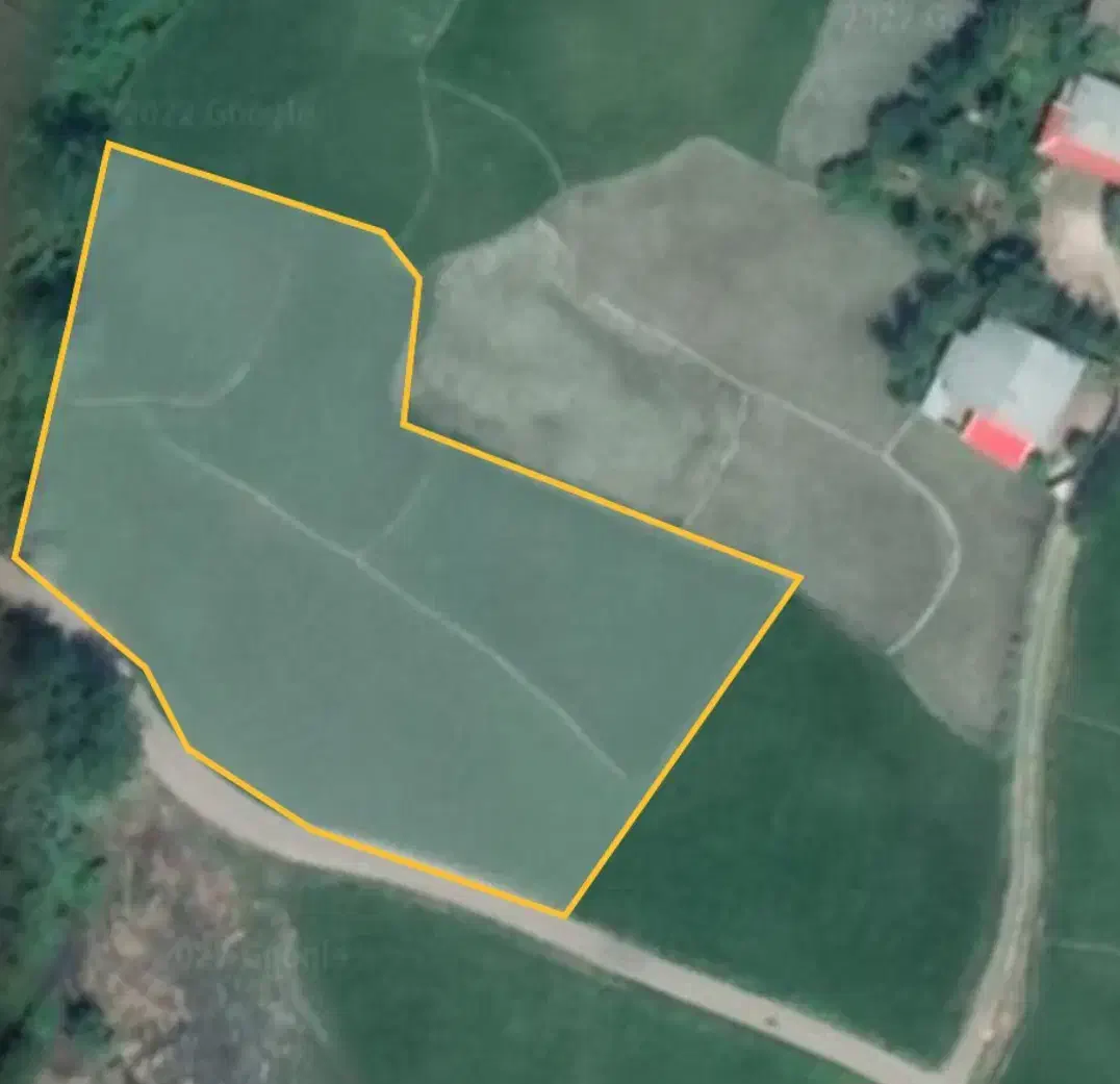 فروش زمین کشاورزی|فروش دفتر صنعتی، کشاورزی، تجاری|رشت, فلسطین|دیوار