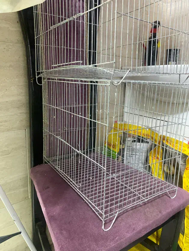 ۳عدد قفس کوچک|لوازم جانبی حیوانات|رشت, حمیدیان|دیوار