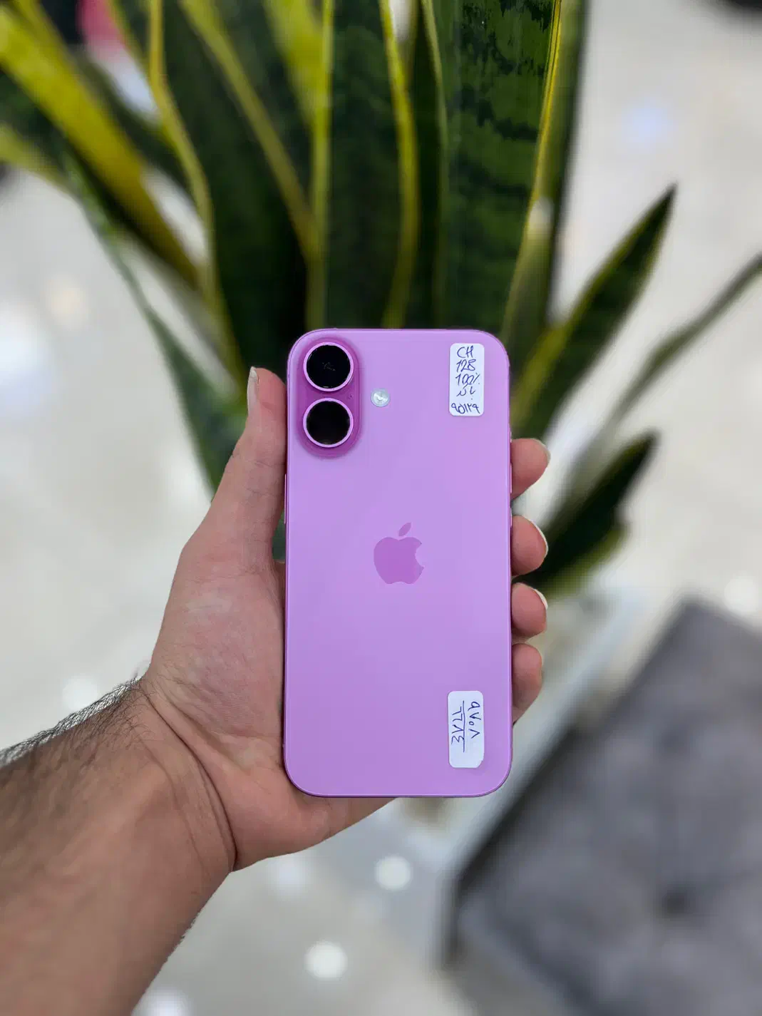 ایفون ۱۶ نرمال صورتی باطری ۱۰۰ شرکتی ۱۶ماه گارانتی|موبایل|اصفهان, مفتح|دیوار