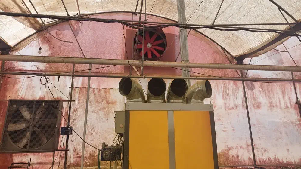 بخاری گلخانه ای|بخاری، هیتر، شومینه|اردبیل, |دیوار