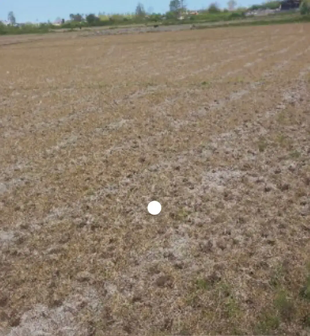 زمین مسکونی|فروش زمین و ملک کلنگی|باغ حلی, |دیوار