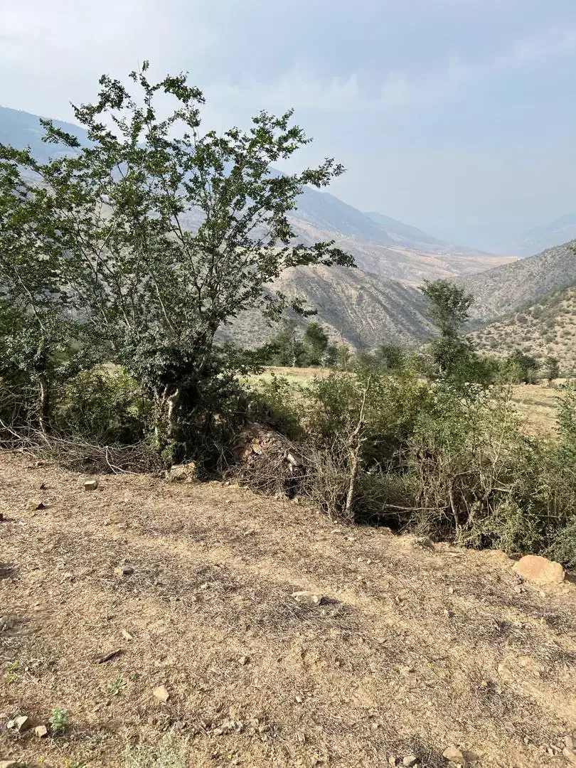 زمین تیلم دراسله بر اصلی جاده سرمایه گذاری|فروش زمین و ملک کلنگی|آلاشت, |دیوار