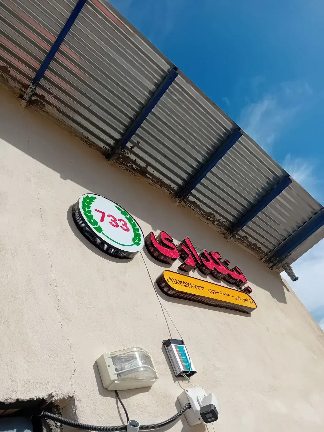 فروش عمده تخم گشنیز توپی|عمده‌فروشی|نهاوند, |دیوار