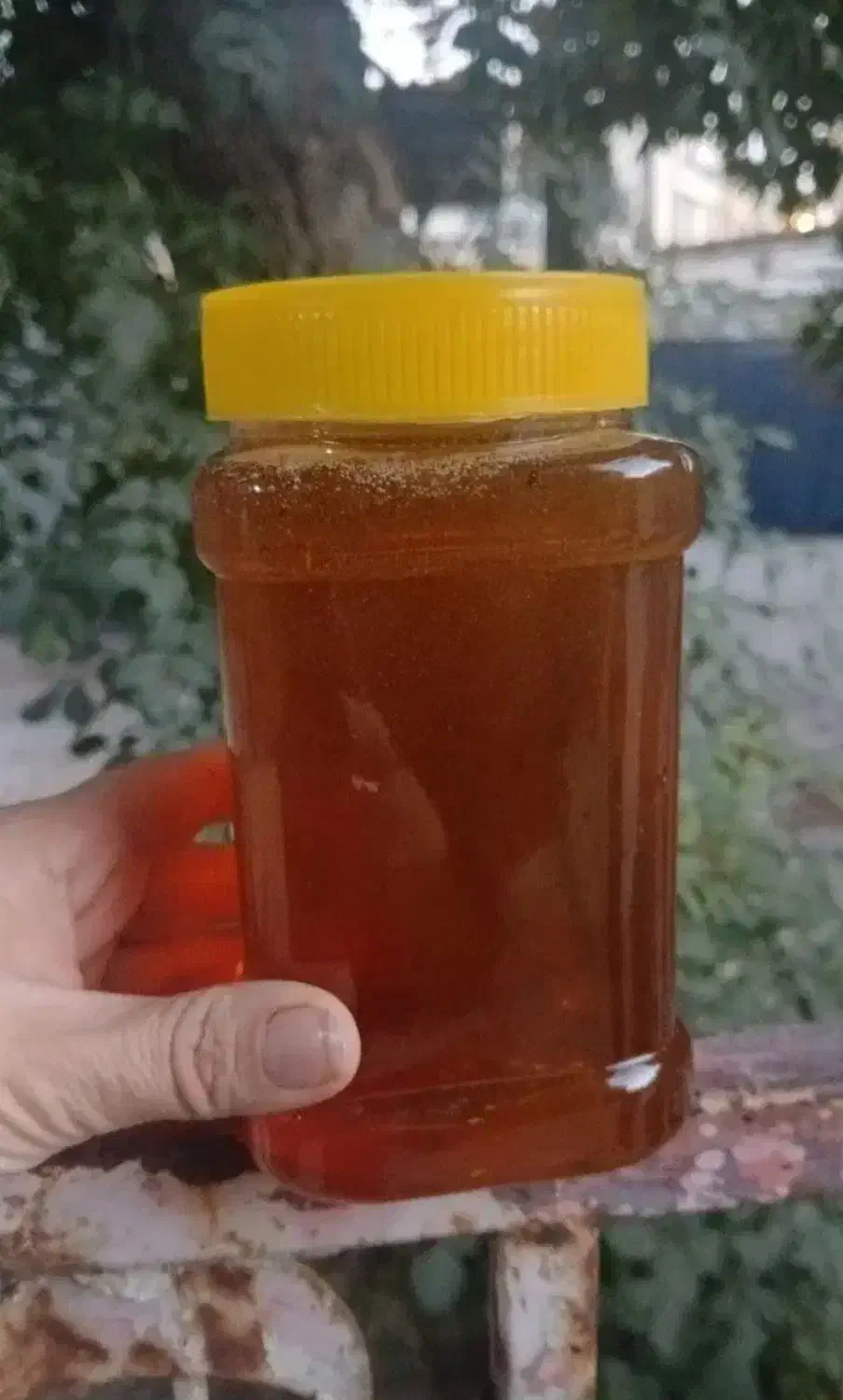 عسل|خوردنی و آشامیدنی|تهران, تهرانپارس شرقی|دیوار