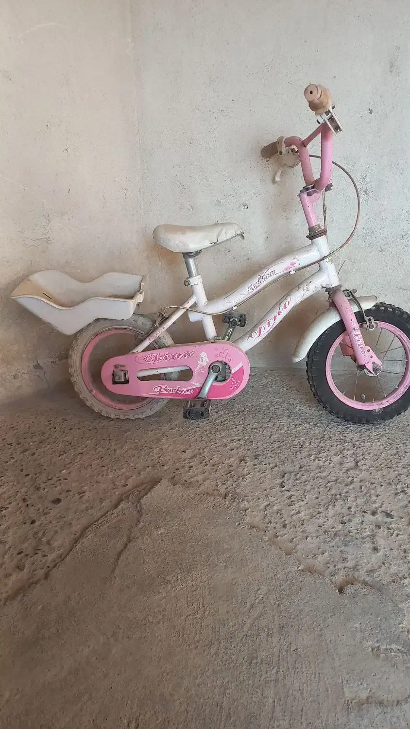 دوچرخه و سه چرخه|دوچرخه، اسکیت، اسکوتر|گنبد کاووس, |دیوار