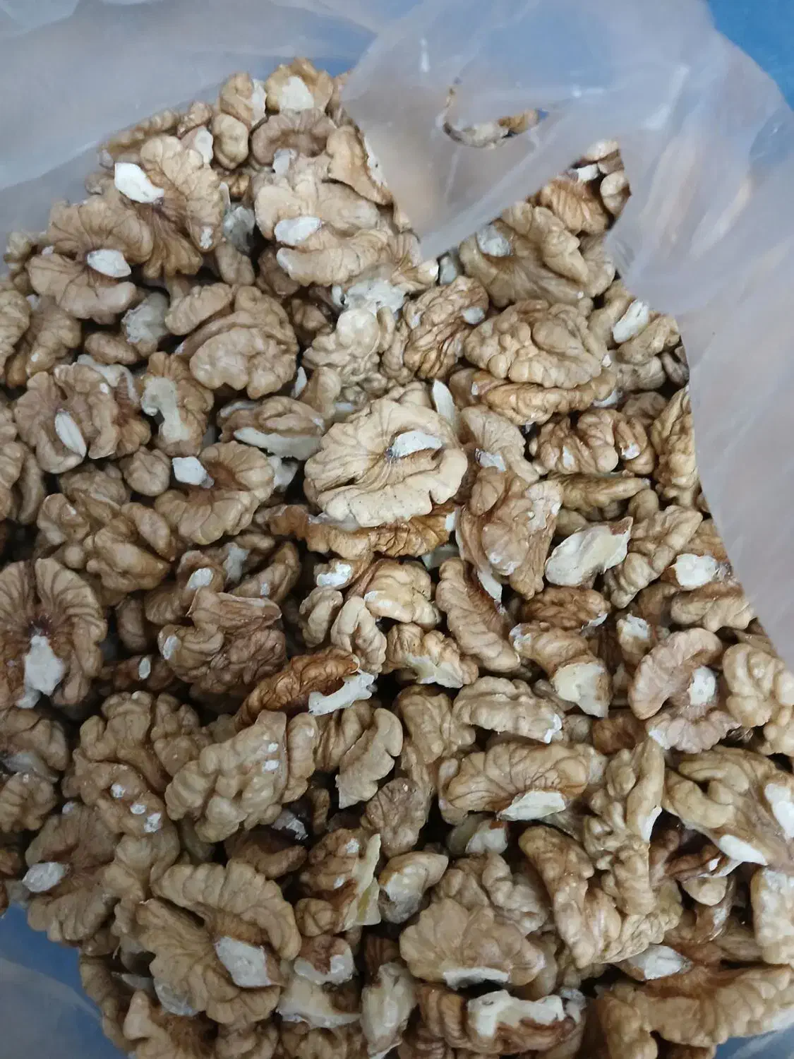 مغزگردوسفیدوروغنی|خوردنی و آشامیدنی|مشگین شهر, |دیوار