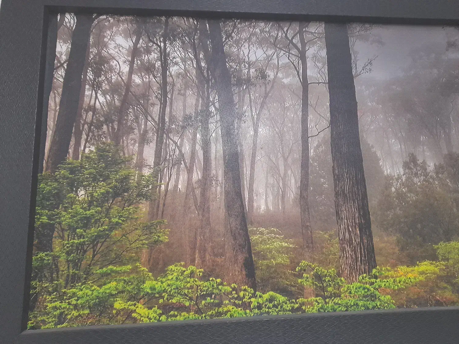 تابلو|تابلو، نقاشی، عکس|پردیس, فاز ۳|دیوار