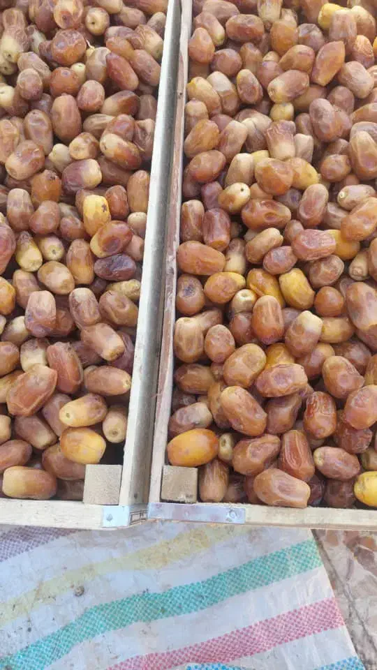 خرما زاهدی|خوردنی و آشامیدنی|اهواز, اسلام آباد شرقی|دیوار