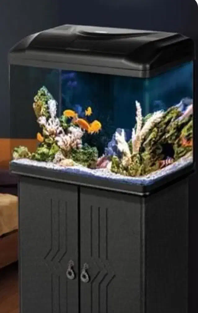 اکواریوم|ماهی|تویسرکان, |دیوار