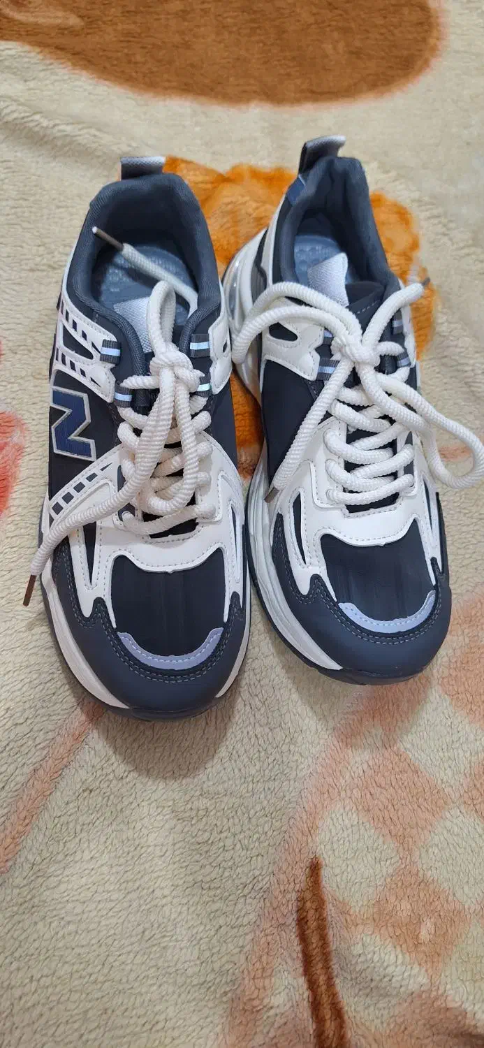 کفش|کیف، کفش، کمربند|قشم, |دیوار