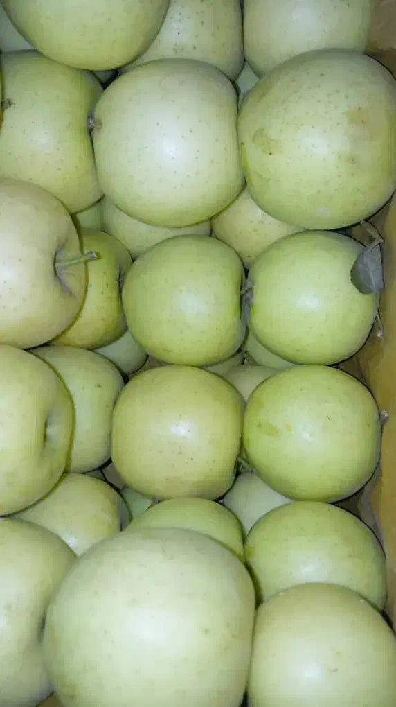 سیب|خوردنی و آشامیدنی|سیلوانه, |دیوار