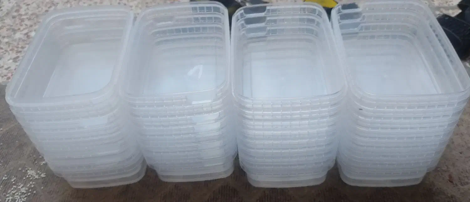 یکبارمصرف|ظروف نگهدارنده، پلاستیکی، یک‌بارمصرف|رامشیر, |دیوار