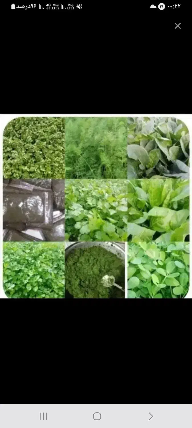 سبزی خورشتی|خوردنی و آشامیدنی|رامهرمز, |دیوار