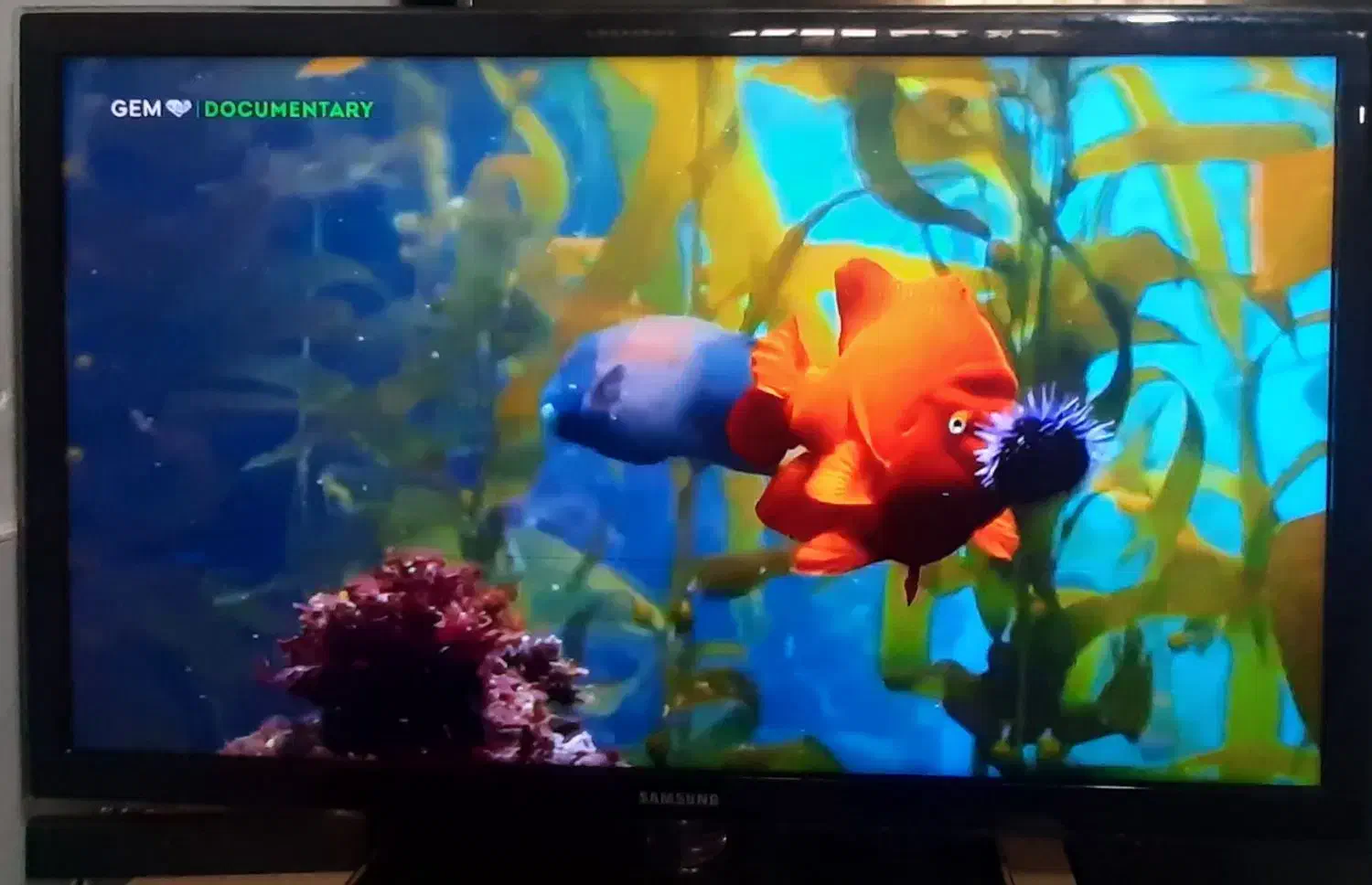 تلوزیون ال ای دی 40اینچ سامسونگ اسمارت الئن|تلویزیون و پروژکتور|میاندوآب, |دیوار