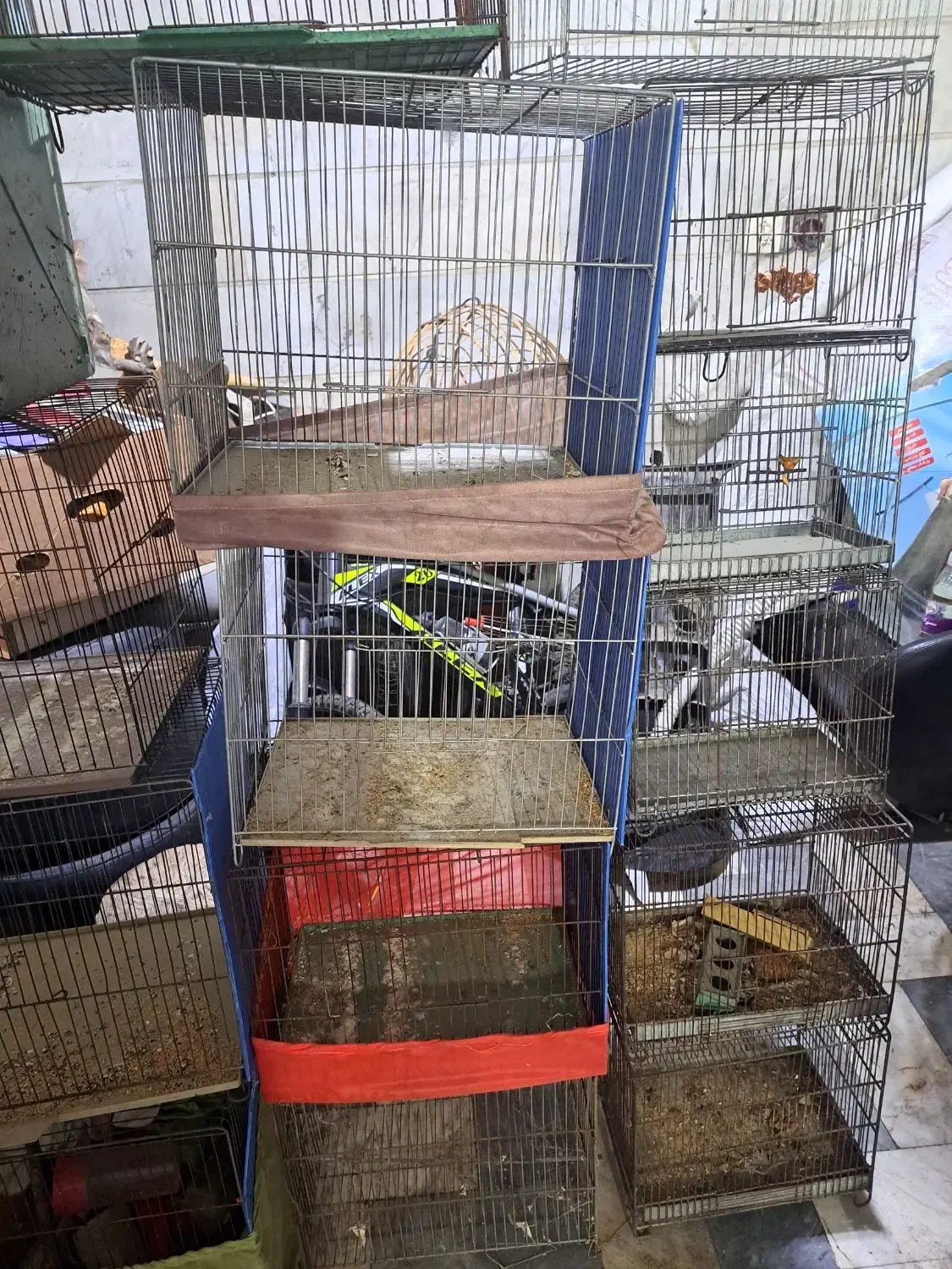 قفس پرنده|لوازم جانبی حیوانات|ری, دیلمان|دیوار