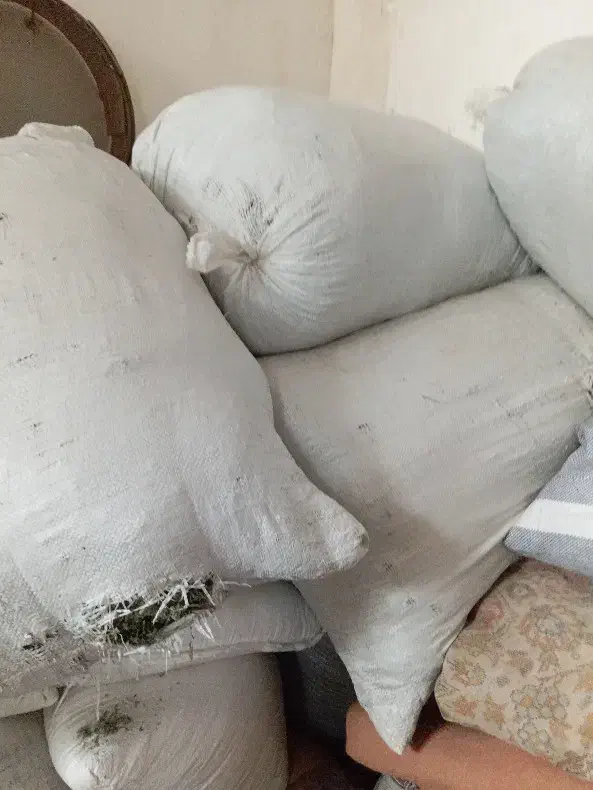 پونه امسال 130تومان چند|خوردنی و آشامیدنی|پاتاوه, |دیوار