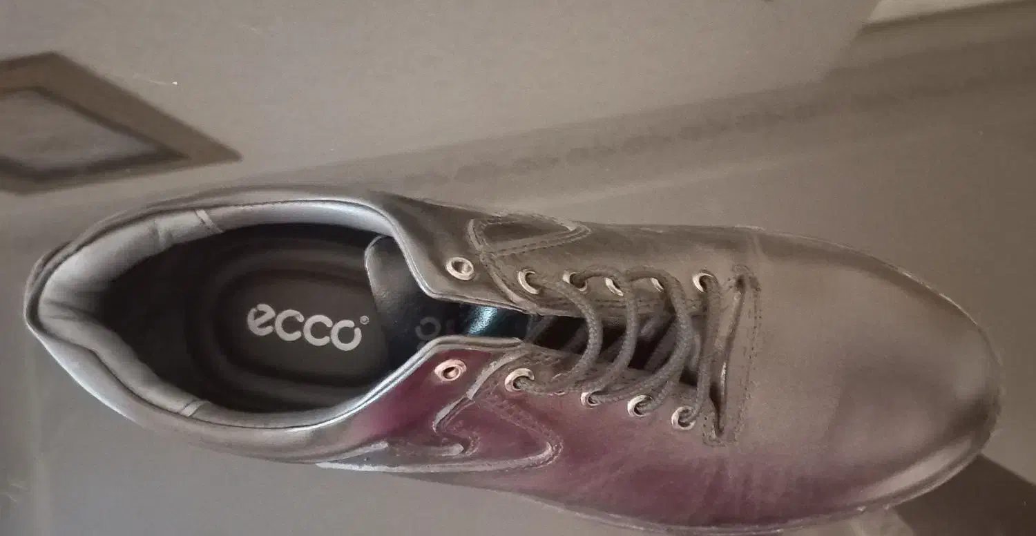 کفش مردانه|کیف، کفش، کمربند|سنندج, |دیوار