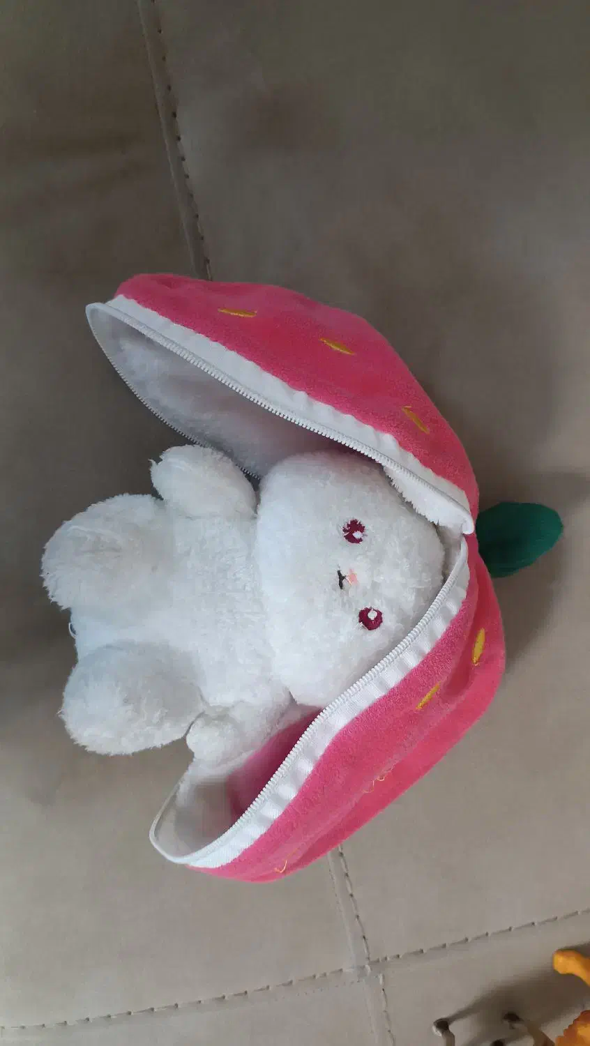 چندعددعروسک ودایناسور|اسباب‌‌بازی|بابل, |دیوار