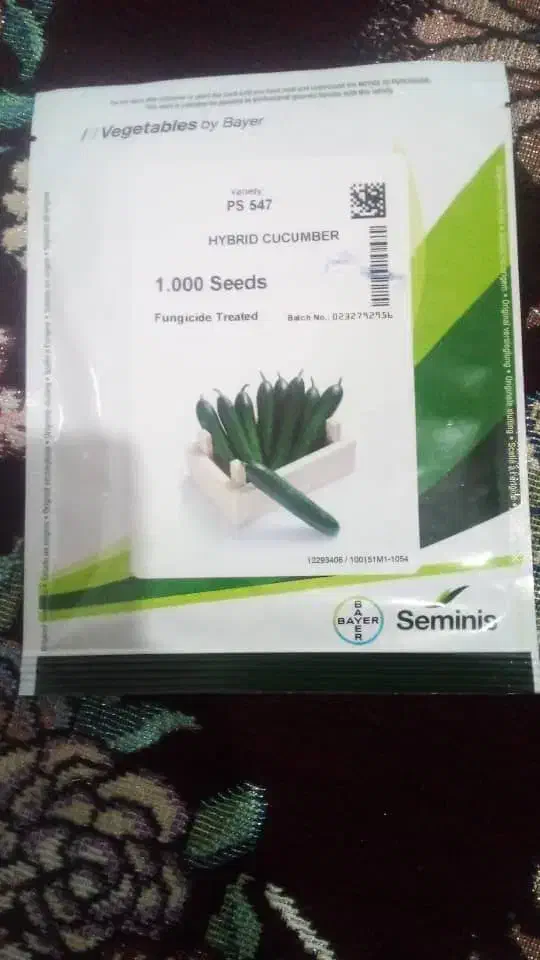 ۱۲۳|گل و گیاه طبیعی|بلوک, |دیوار