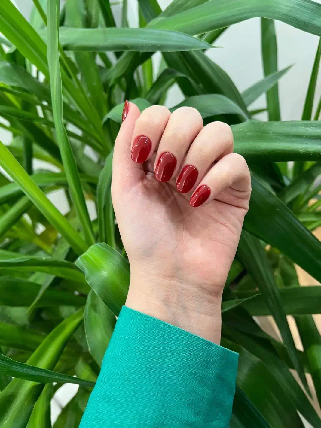 ترمیم ناخن ژل و پودر|خدمات آرایشگری و زیبایی|تهران, علم و صنعت|دیوار