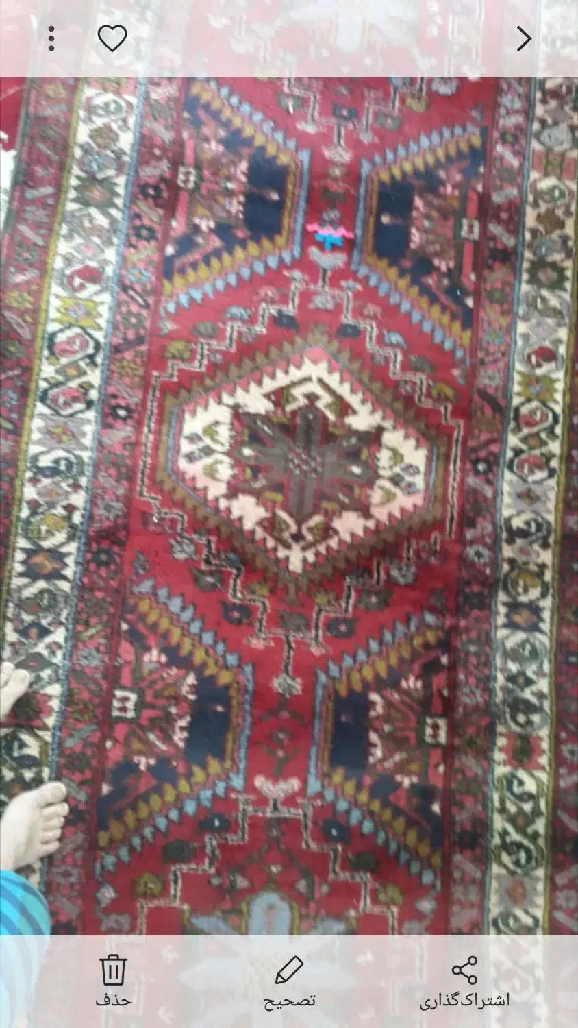 فرش پشم دست بافت|فرش|بهارستان, |دیوار