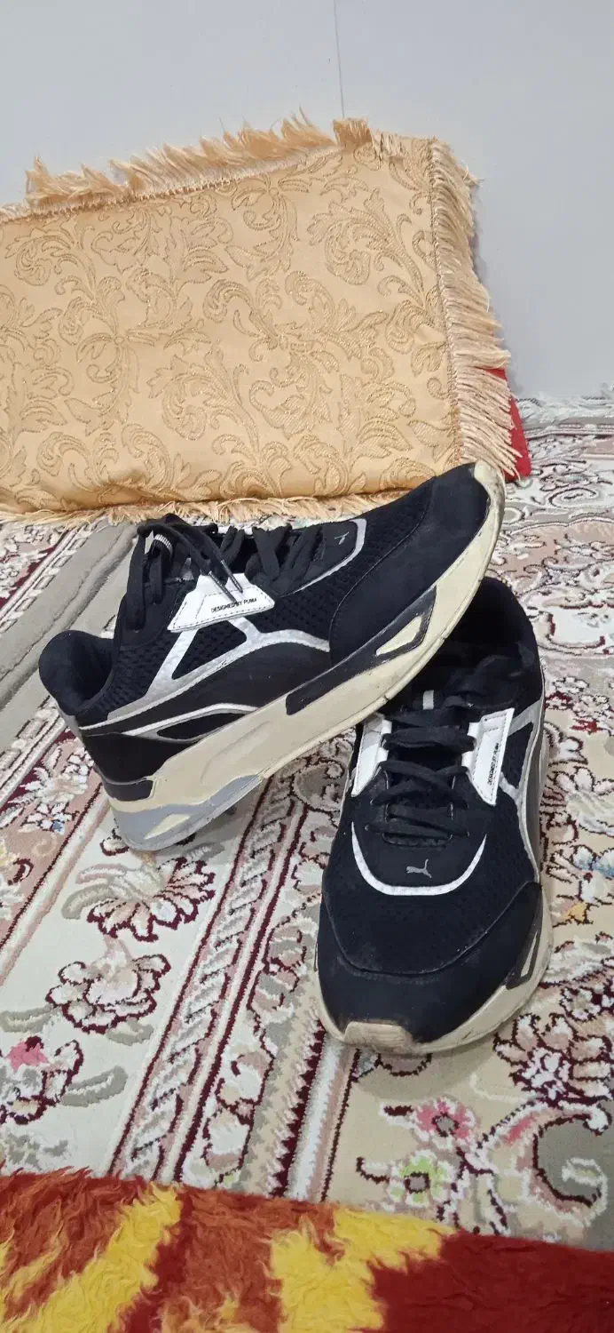 کفش تاناکورا|کیف، کفش، کمربند|جوانرود, |دیوار