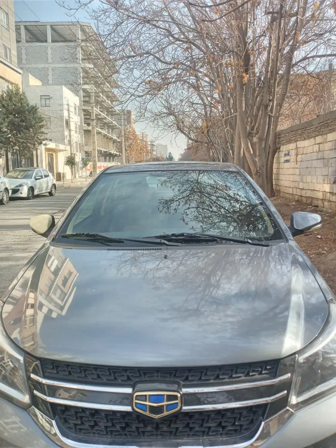 جیلی اکسنت بی رنگ۹۷|خودرو سواری و وانت|کرج, ساماندهی|دیوار