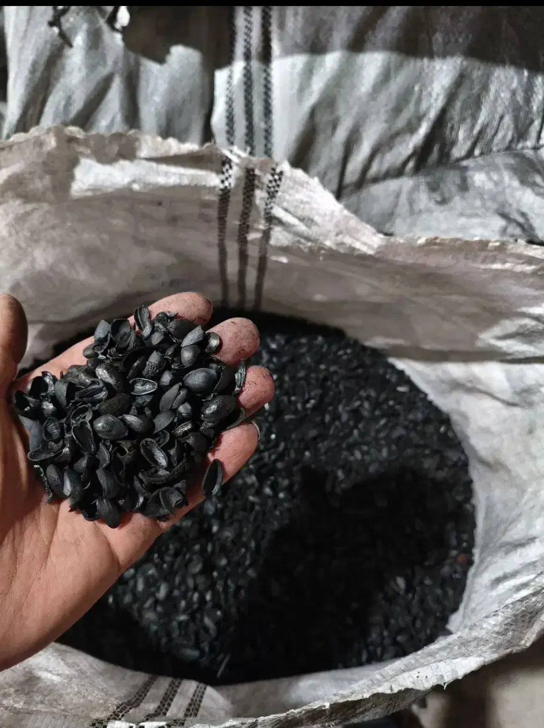 زغال فشرده پسته|عمده‌فروشی|ری, شهادت|دیوار