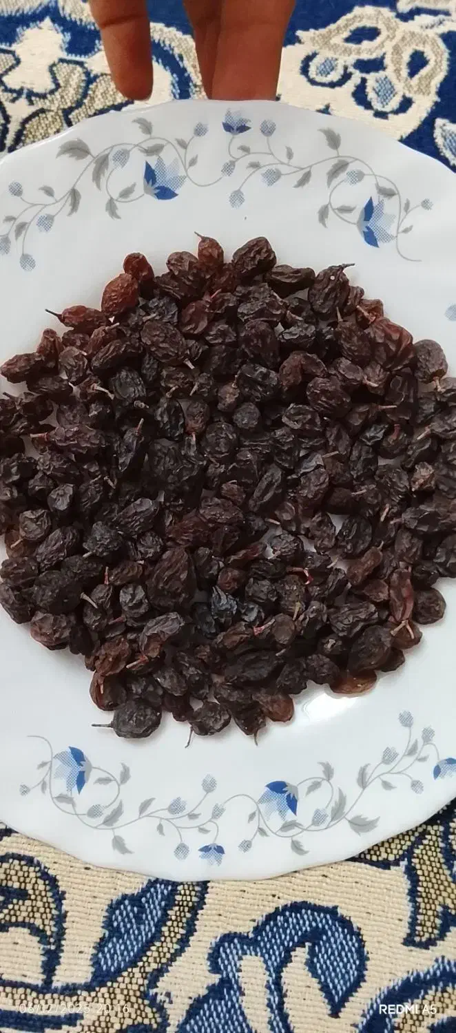 کشمش بیدانه دانه درشت|خوردنی و آشامیدنی|اقبالیه, |دیوار