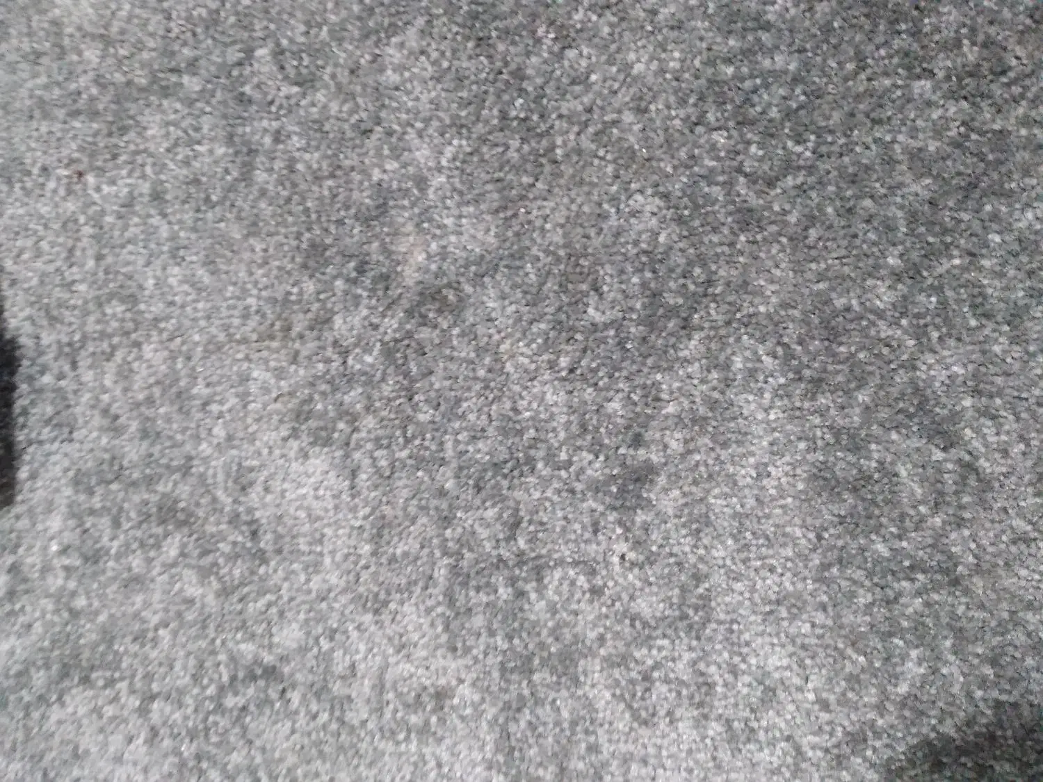 موکت|موکت|اهواز, کوی آغاجاری|دیوار