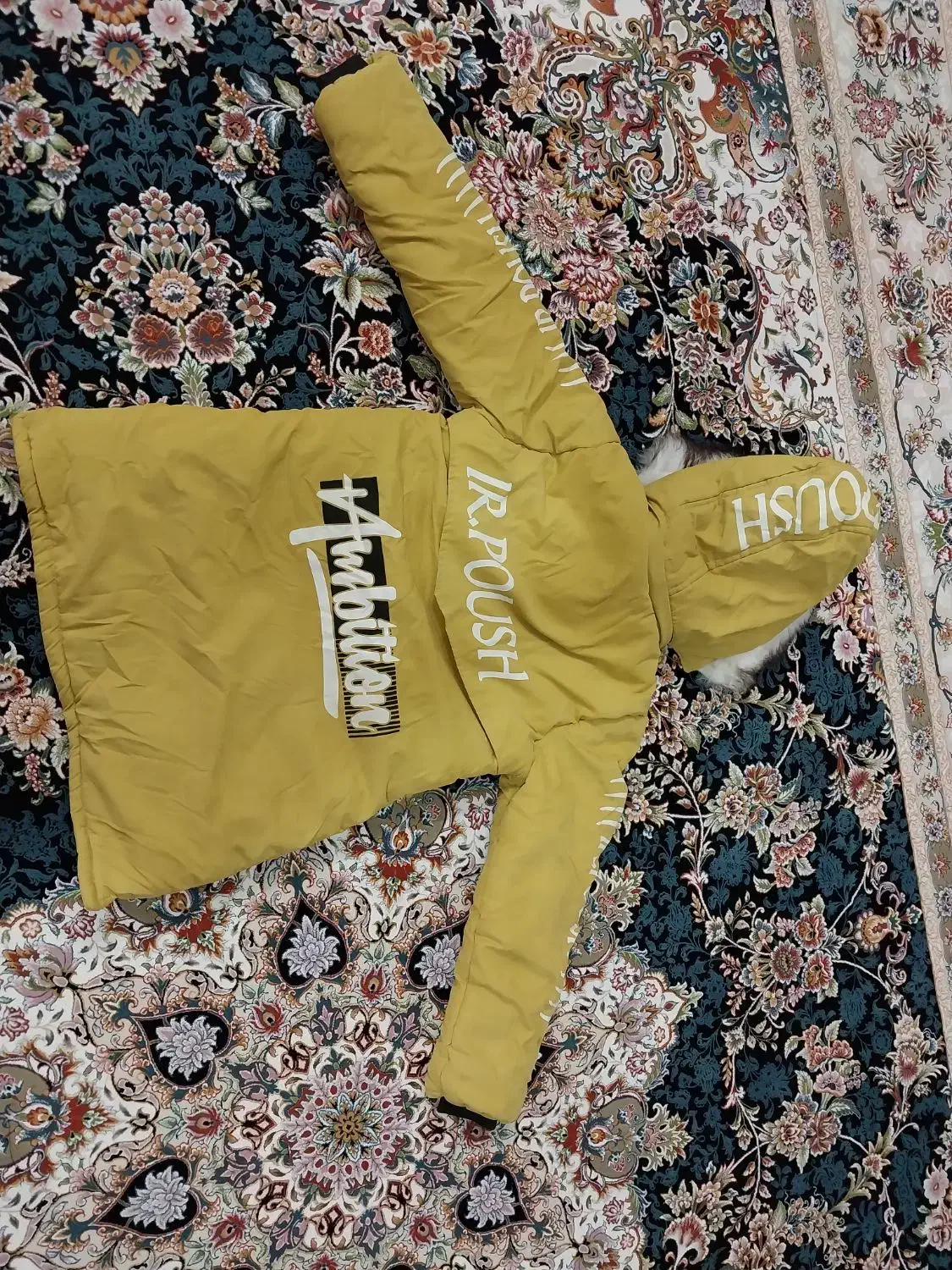 کاپشن دخترانه و کت جین|لباس|شیراز, سلطان آباد|دیوار