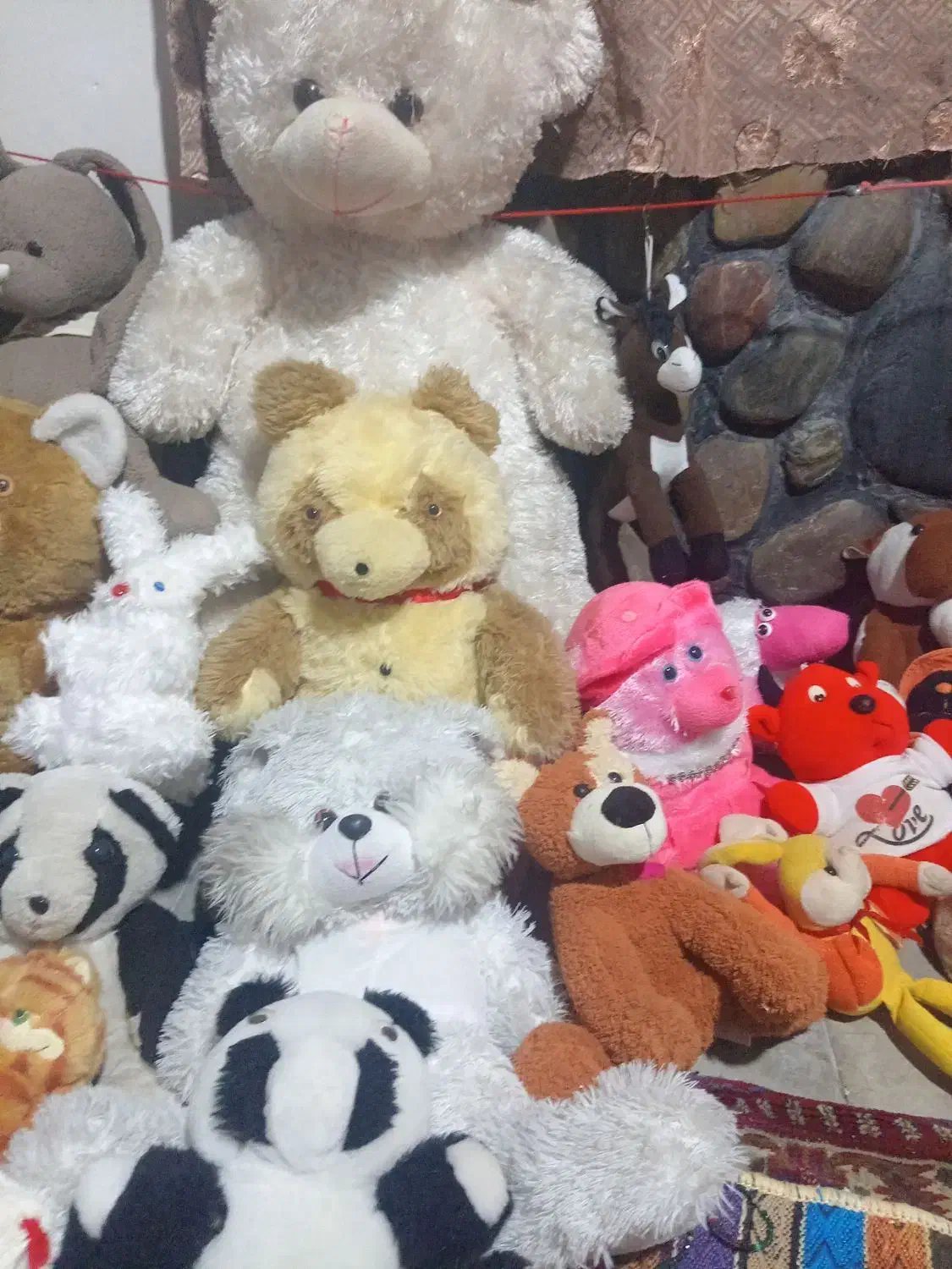 100 عروسک|اسباب‌‌بازی|نوشهر, |دیوار