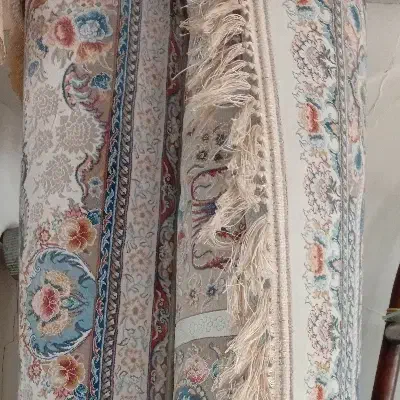 فرش ۱۲۰۰ شانه|فرش|گرگان, |دیوار