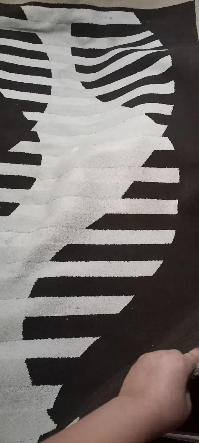 فرش ۶ متری در حد نو|فرش|مشکیندشت, |دیوار