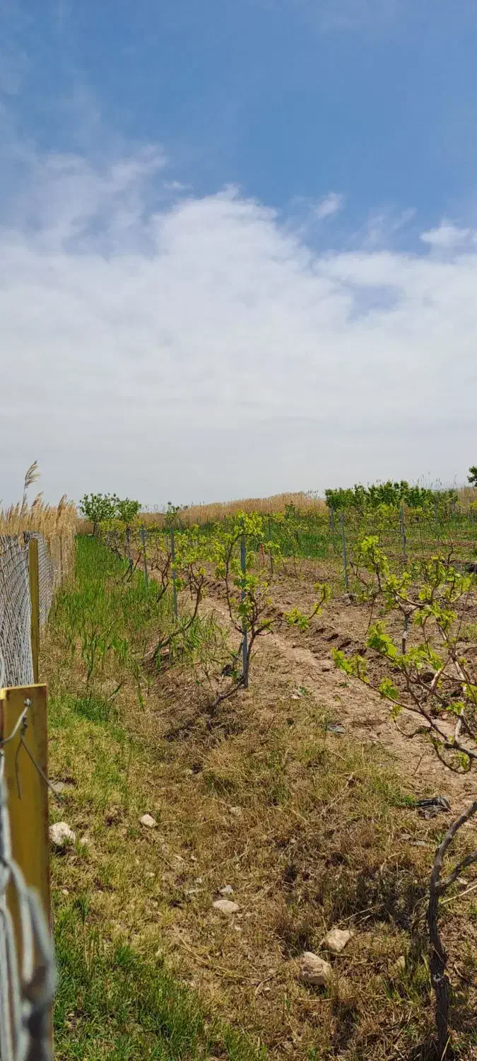 باغ|فروش خانه و ویلا|ماکو, |دیوار