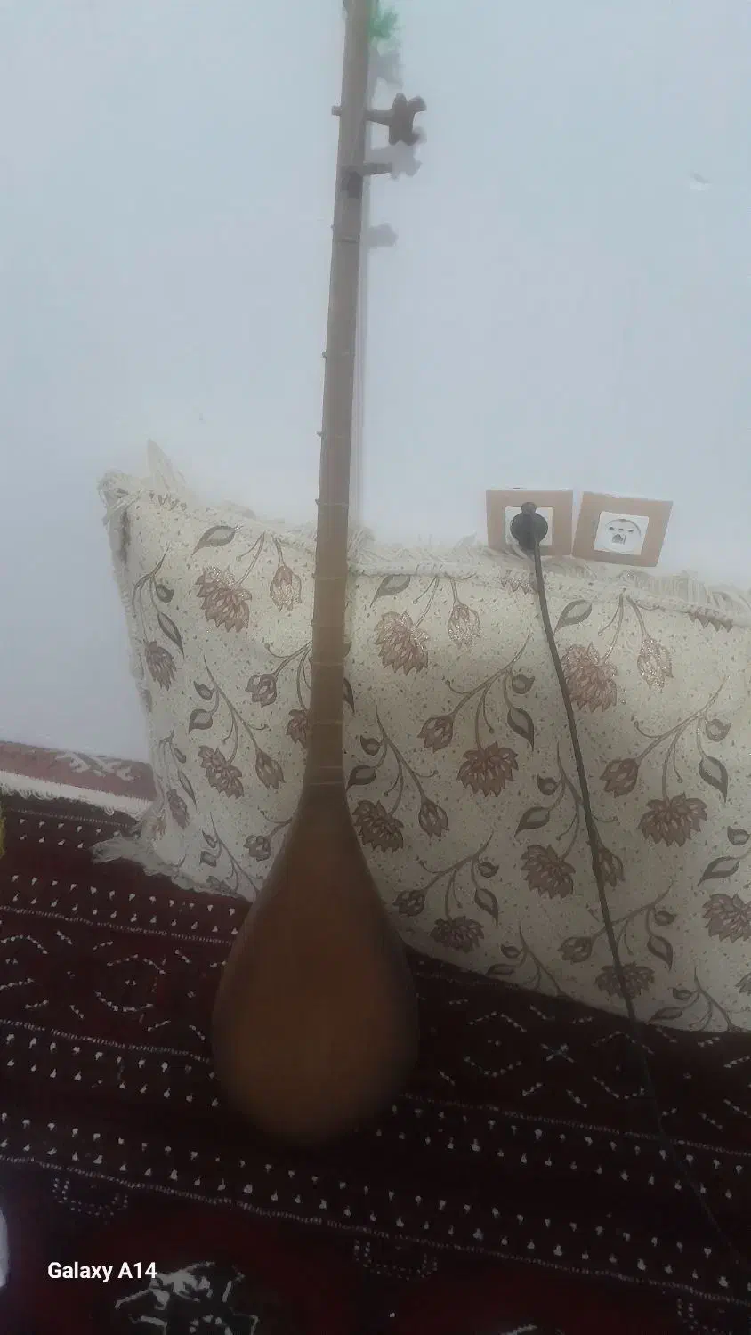 دوتار قدیمی|سازهای سنتی|گلبهار, شهر جدید گلبهار|دیوار