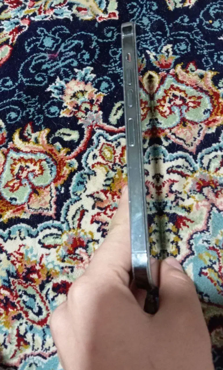 ایفون 13 پرومکس|موبایل|تربتحیدریه, بی بی حسنیه|دیوار