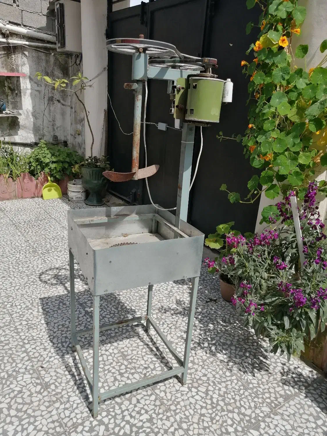 دستگاه تخمه پز|ماشینآلات صنعتی|آستارا, |دیوار